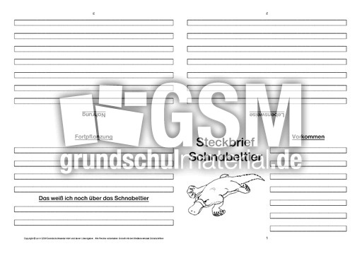 Schnabeltier-Faltbuch-vierseitig-3.pdf
